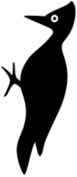 un oiseau